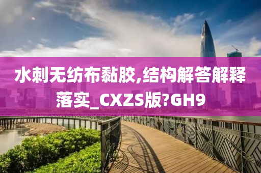 水刺无纺布黏胶,结构解答解释落实_CXZS版?GH9