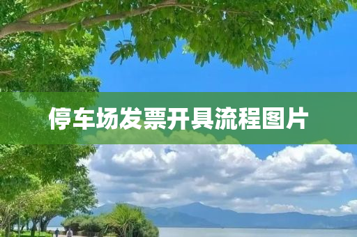 停车场发票开具流程图片