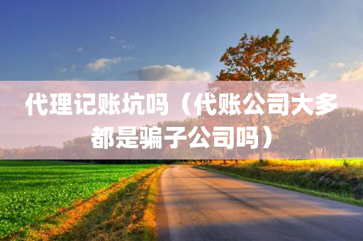 代理记账坑吗（代账公司大多都是骗子公司吗）