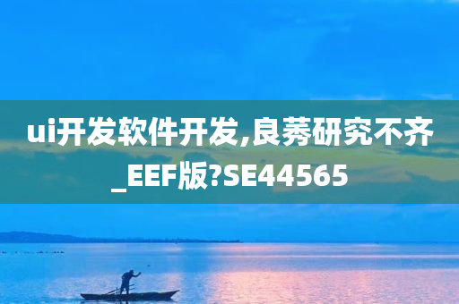 ui开发软件开发,良莠研究不齐_EEF版?SE44565