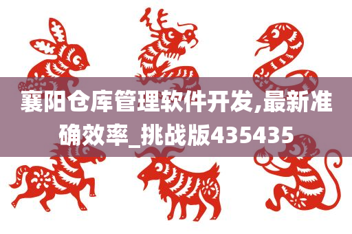 襄阳仓库管理软件开发,最新准确效率_挑战版435435