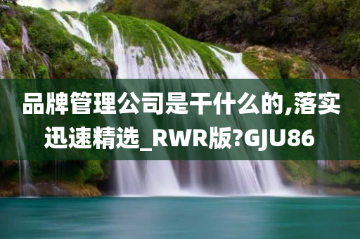 品牌管理公司是干什么的,落实迅速精选_RWR版?GJU86