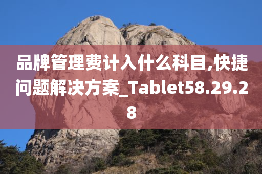 品牌管理费计入什么科目,快捷问题解决方案_Tablet58.29.28