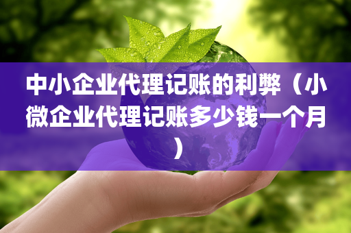 中小企业代理记账的利弊（小微企业代理记账多少钱一个月）