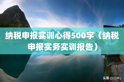 纳税申报实训心得500字（纳税申报实务实训报告）