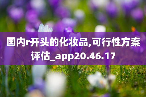 国内r开头的化妆品,可行性方案评估_app20.46.17