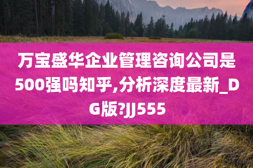 万宝盛华企业管理咨询公司是500强吗知乎,分析深度最新_DG版?JJ555