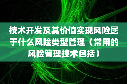 技术开发及其价值实现风险属于什么风险类型管理（常用的风险管理技术包括）