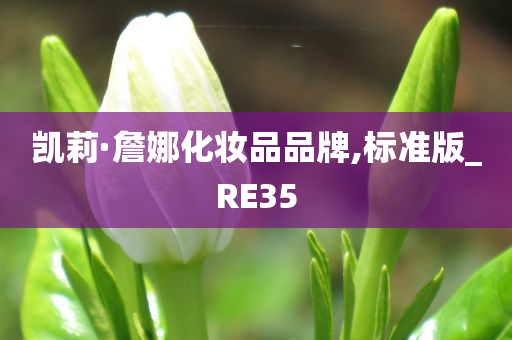 凯莉·詹娜化妆品品牌,标准版_RE35