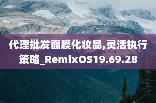 代理批发面膜化妆品,灵活执行策略_RemixOS19.69.28