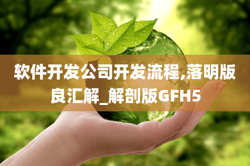 软件开发公司开发流程,落明版良汇解_解剖版GFH5