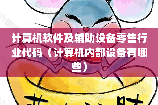 计算机软件及辅助设备零售行业代码（计算机内部设备有哪些）