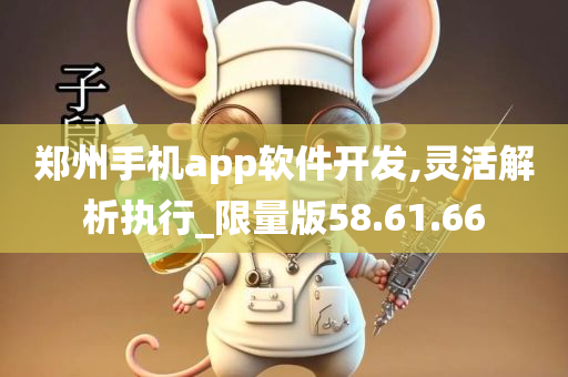 郑州手机app软件开发,灵活解析执行_限量版58.61.66