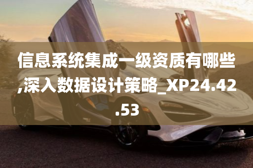 信息系统集成一级资质有哪些,深入数据设计策略_XP24.42.53