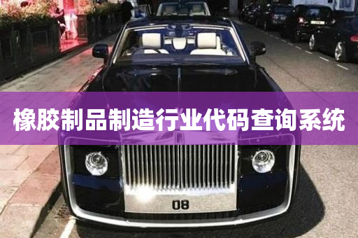 橡胶制品制造行业代码查询系统