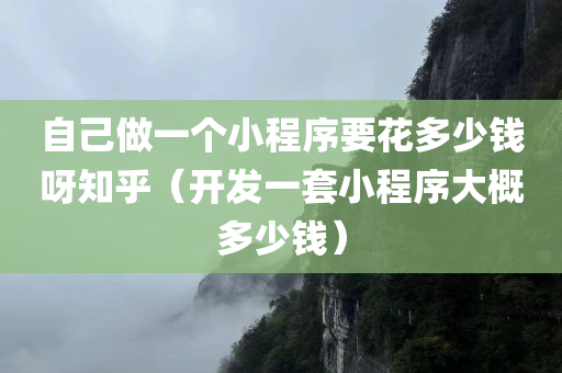 自己做一个小程序要花多少钱呀知乎（开发一套小程序大概多少钱）