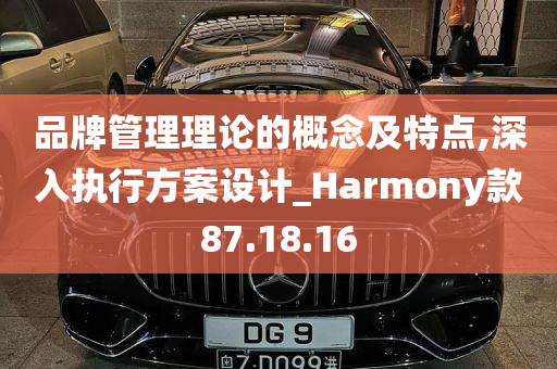 品牌管理理论的概念及特点,深入执行方案设计_Harmony款87.18.16