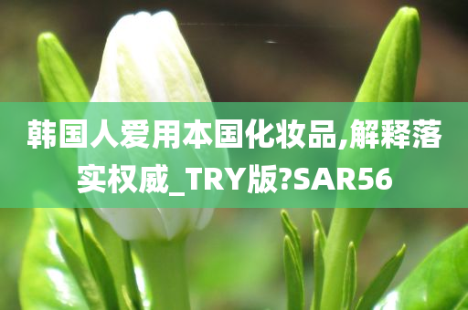 韩国人爱用本国化妆品,解释落实权威_TRY版?SAR56