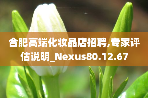 合肥高端化妆品店招聘,专家评估说明_Nexus80.12.67