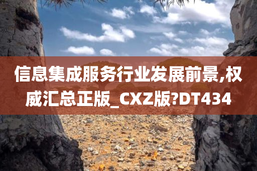 信息集成服务行业发展前景,权威汇总正版_CXZ版?DT434