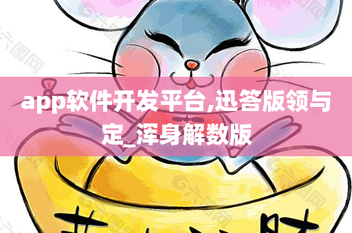 app软件开发平台,迅答版领与定_浑身解数版