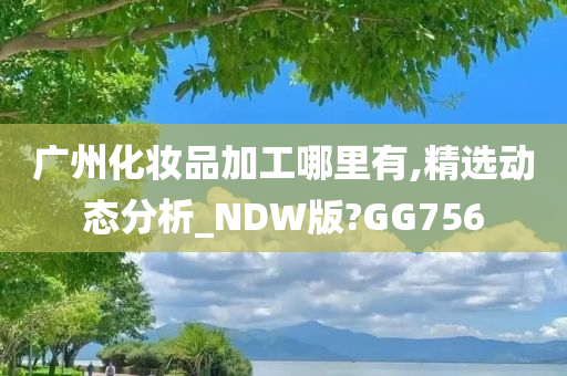 广州化妆品加工哪里有,精选动态分析_NDW版?GG756