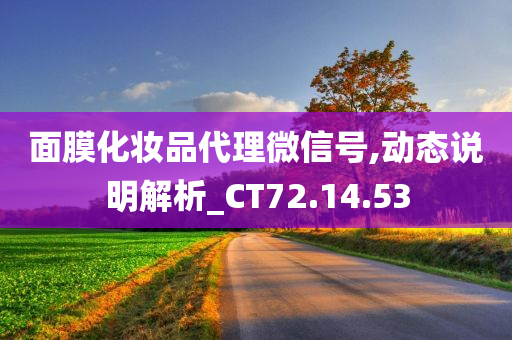 面膜化妆品代理微信号,动态说明解析_CT72.14.53