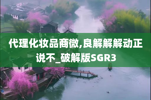 代理化妆品商微,良解解解动正说不_破解版SGR3