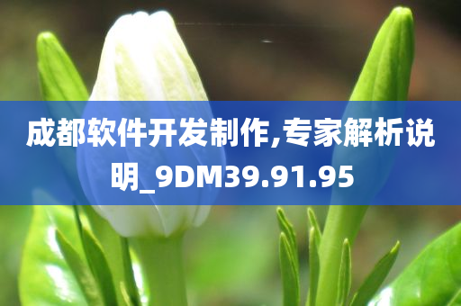 成都软件开发制作,专家解析说明_9DM39.91.95