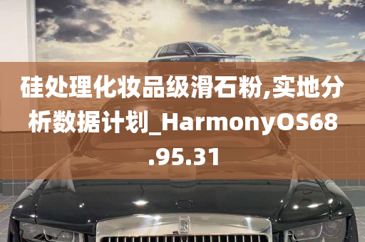 硅处理化妆品级滑石粉,实地分析数据计划_HarmonyOS68.95.31