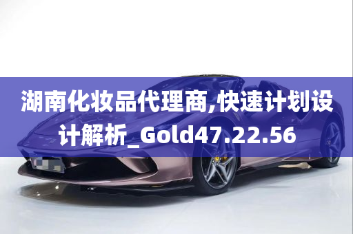 湖南化妆品代理商,快速计划设计解析_Gold47.22.56