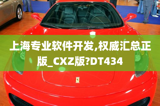 上海专业软件开发,权威汇总正版_CXZ版?DT434