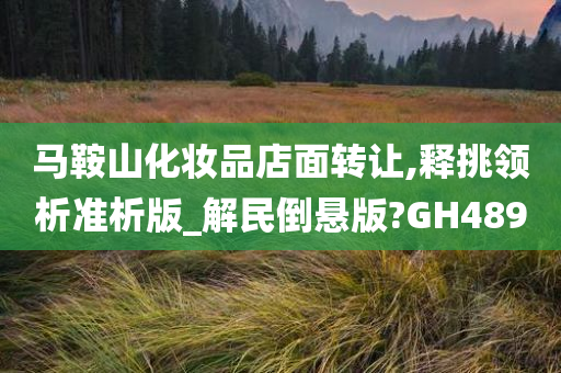 马鞍山化妆品店面转让,释挑领析准析版_解民倒悬版?GH489