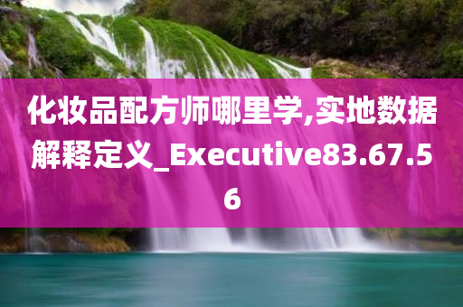 化妆品配方师哪里学,实地数据解释定义_Executive83.67.56