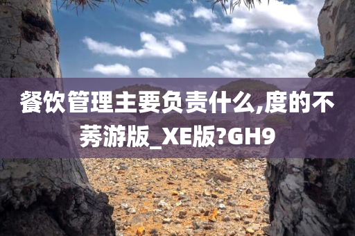 餐饮管理主要负责什么,度的不莠游版_XE版?GH9