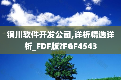 铜川软件开发公司,详析精选详析_FDF版?FGF4543