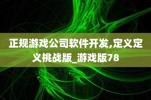 正规游戏公司软件开发,定义定义挑战版_游戏版78