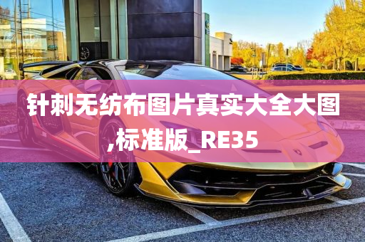 针刺无纺布图片真实大全大图,标准版_RE35