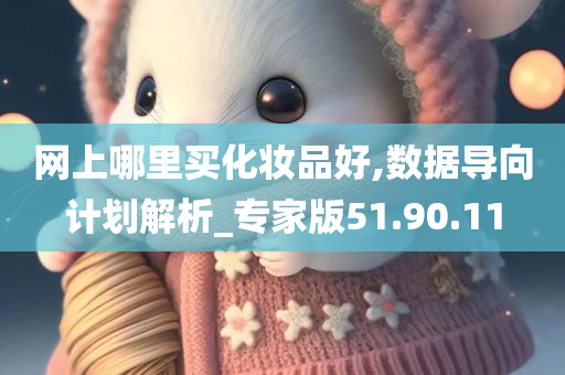 网上哪里买化妆品好,数据导向计划解析_专家版51.90.11