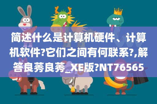 简述什么是计算机硬件、计算机软件?它们之间有何联系?,解答良莠良莠_XE版?NT76565