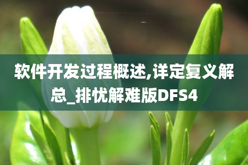 软件开发过程概述,详定复义解总_排忧解难版DFS4