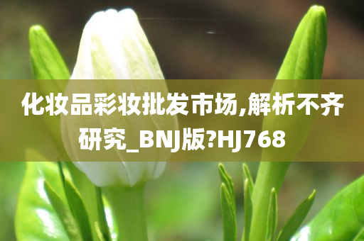 化妆品彩妆批发市场,解析不齐研究_BNJ版?HJ768