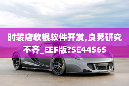 时装店收银软件开发,良莠研究不齐_EEF版?SE44565