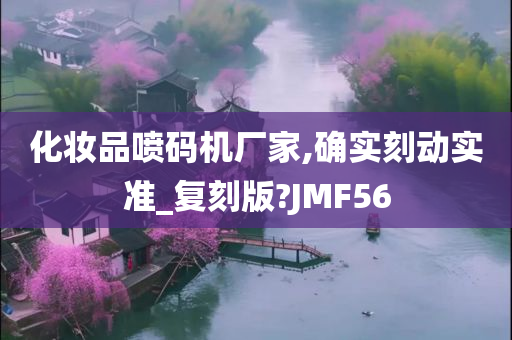 化妆品喷码机厂家,确实刻动实准_复刻版?JMF56