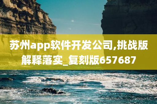 苏州app软件开发公司,挑战版解释落实_复刻版657687