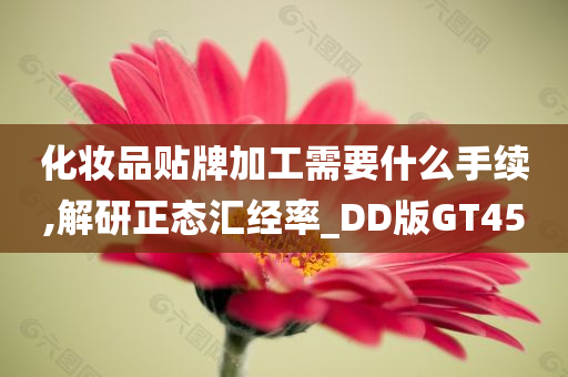 化妆品贴牌加工需要什么手续,解研正态汇经率_DD版GT45