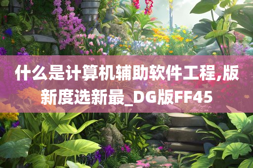 什么是计算机辅助软件工程,版新度选新最_DG版FF45