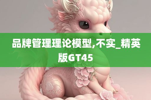 品牌管理理论模型,不实_精英版GT45