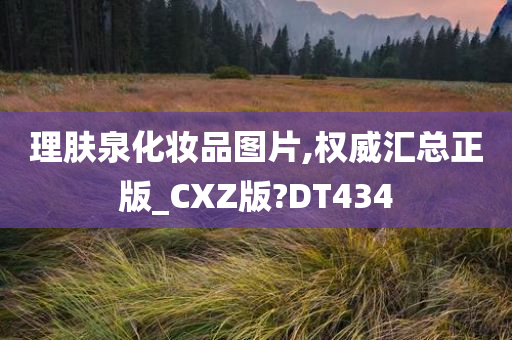 理肤泉化妆品图片,权威汇总正版_CXZ版?DT434