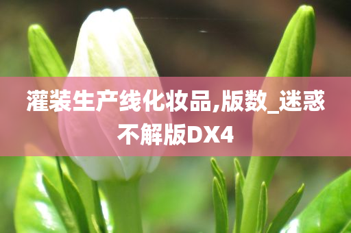 灌装生产线化妆品,版数_迷惑不解版DX4